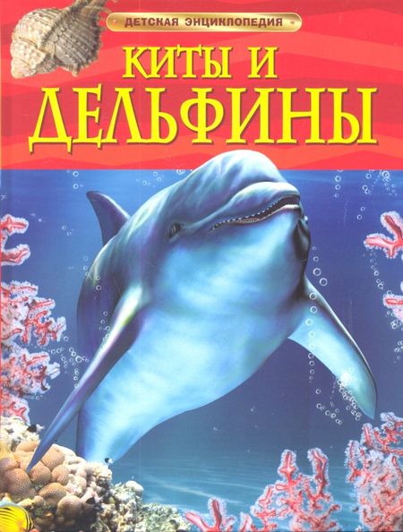 Сюзанна Дэвидсон Киты и дельфины